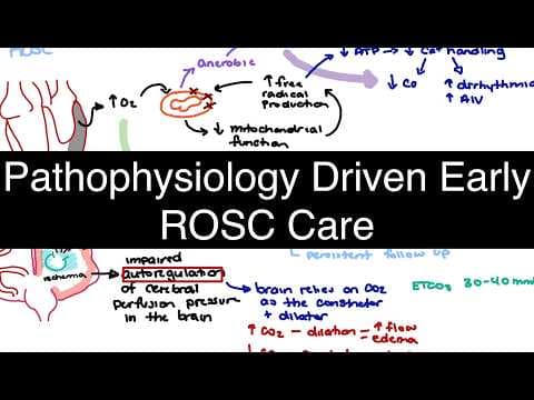 Post-Cardiac Arrest Care: Oxygenation, CO2, and Hemodynamic Priorities