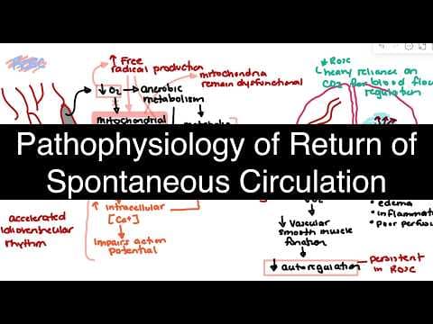 ROSC Isn’t Recovery: The Critical Pathophysiology After Cardiac Arrest
