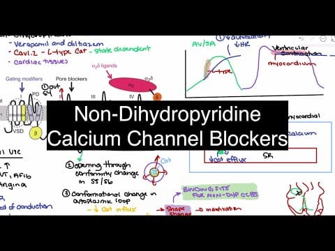 How Verapamil and Diltiazem Work 🫀 Non-DHP Calcium Channel Blockers Explained